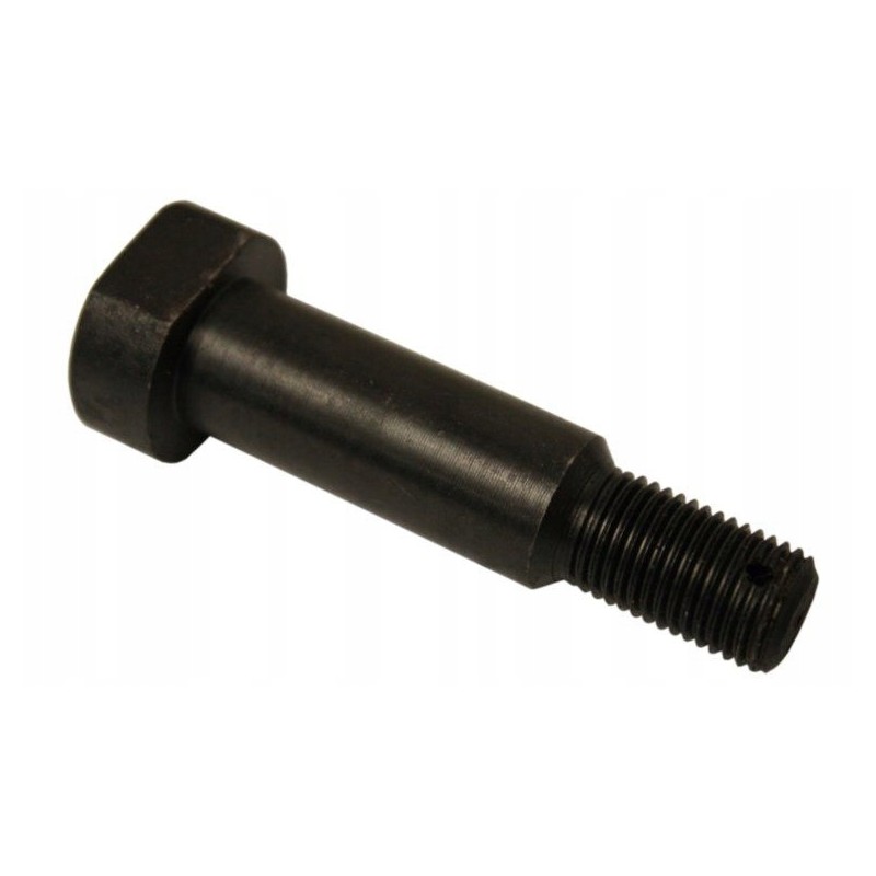 Engine mounting bolt Wladimirec T 25 2500103