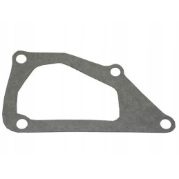 Water pump gasket sw400 bizon pl601219