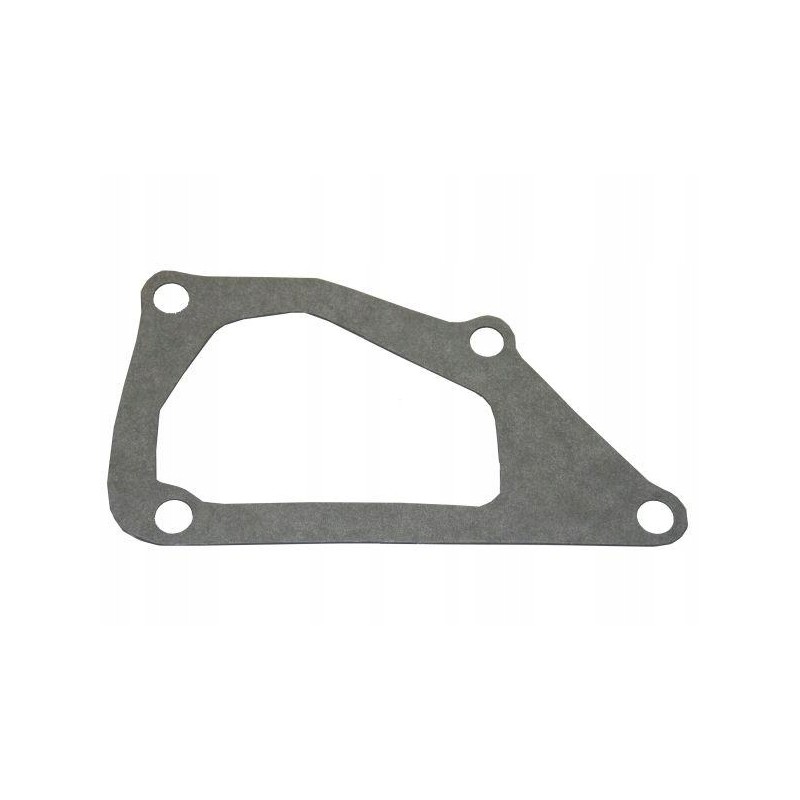 Water pump gasket sw400 bizon pl601219