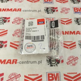 Hatz crank mechanism spring 1d81s 03955900