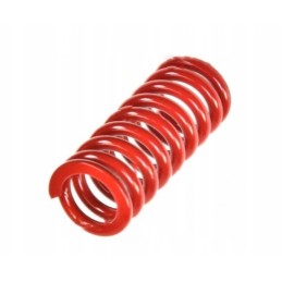 Clutch pressure spring mf 4 aparts