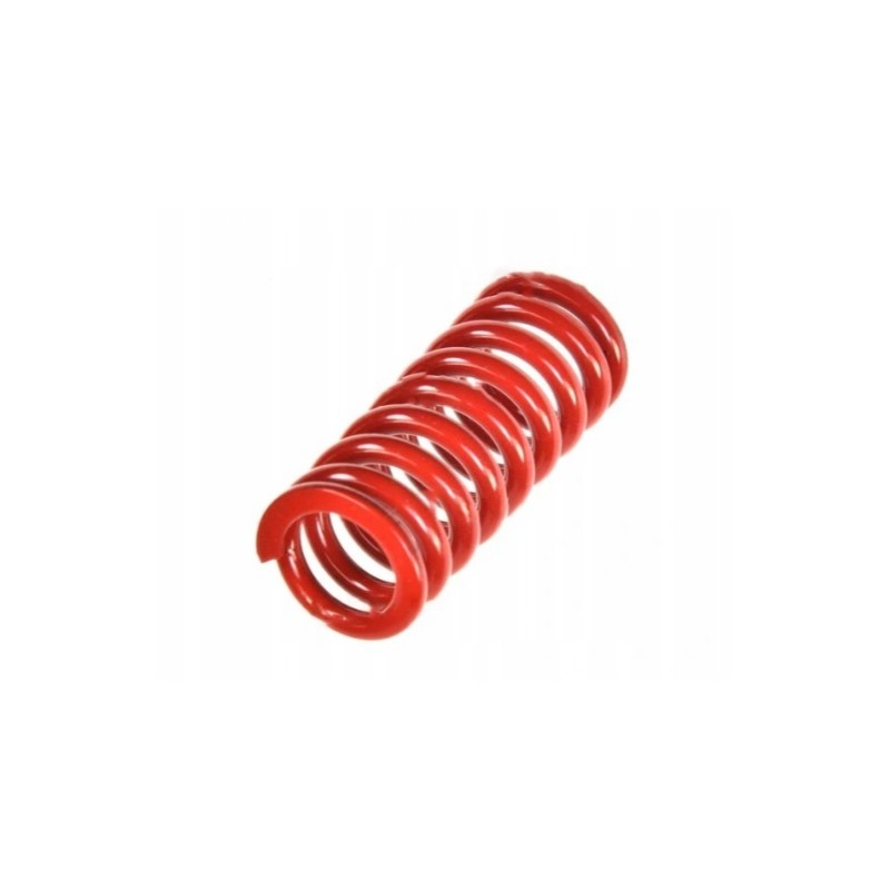 Clutch pressure spring mf 4 aparts