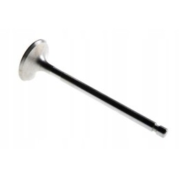 Suction valve c 360 50505051