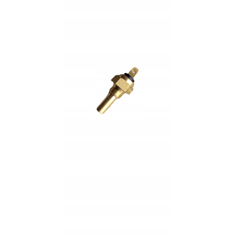 Bizon water temperature sensor 5040995240