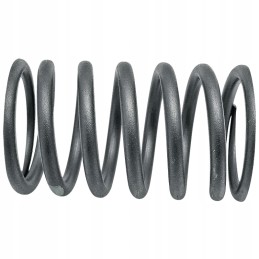 External valve spring 50 00 109 1