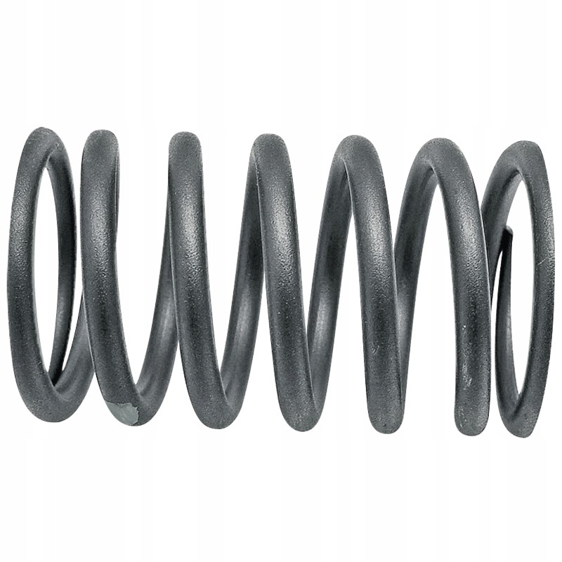 External valve spring 50 00 109 1