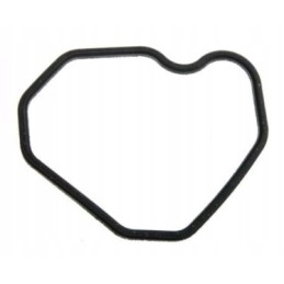 Ursus C 360 keyboard head cover gasket