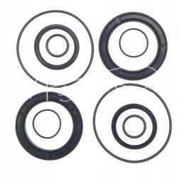 Cyclops actuator seal set, old type