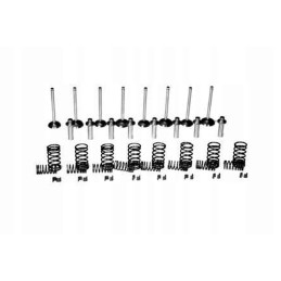 Vpa6007 intake valves and springs set
