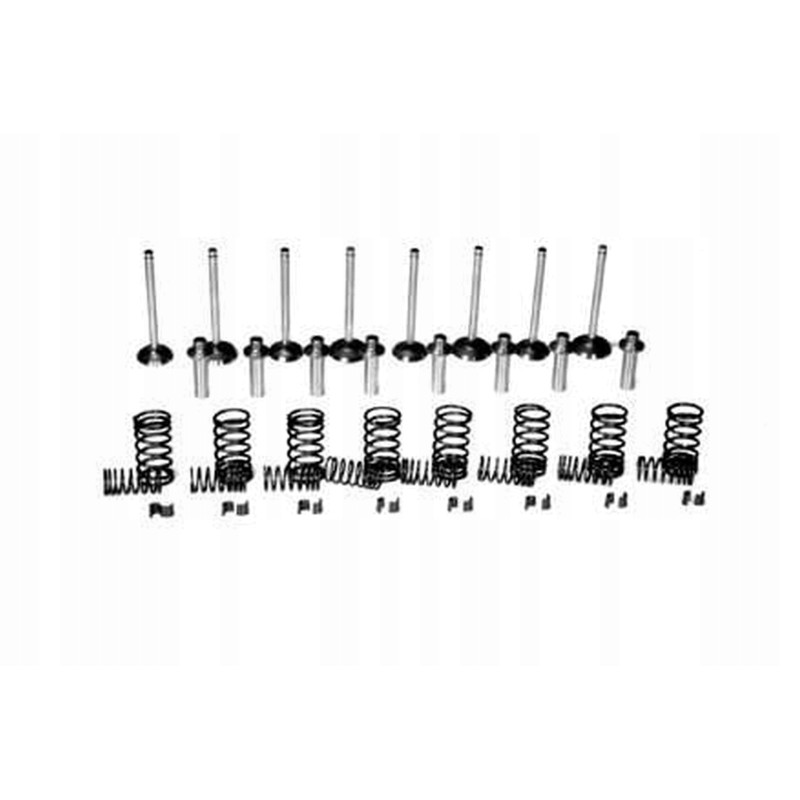 Vpa6007 intake valves and springs set