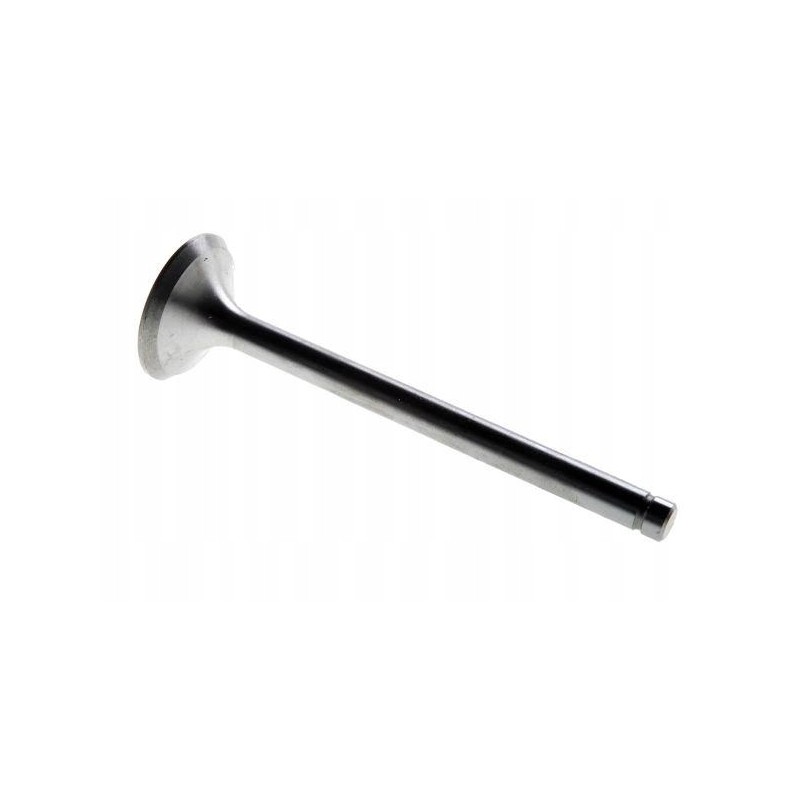 Exhaust valve 89005902 64000424 c 385 regular here