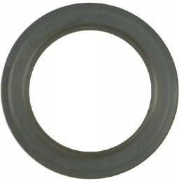 Sealing ring
