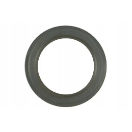 Sealing ring