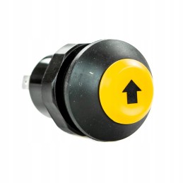 Lifting/lowering control switch