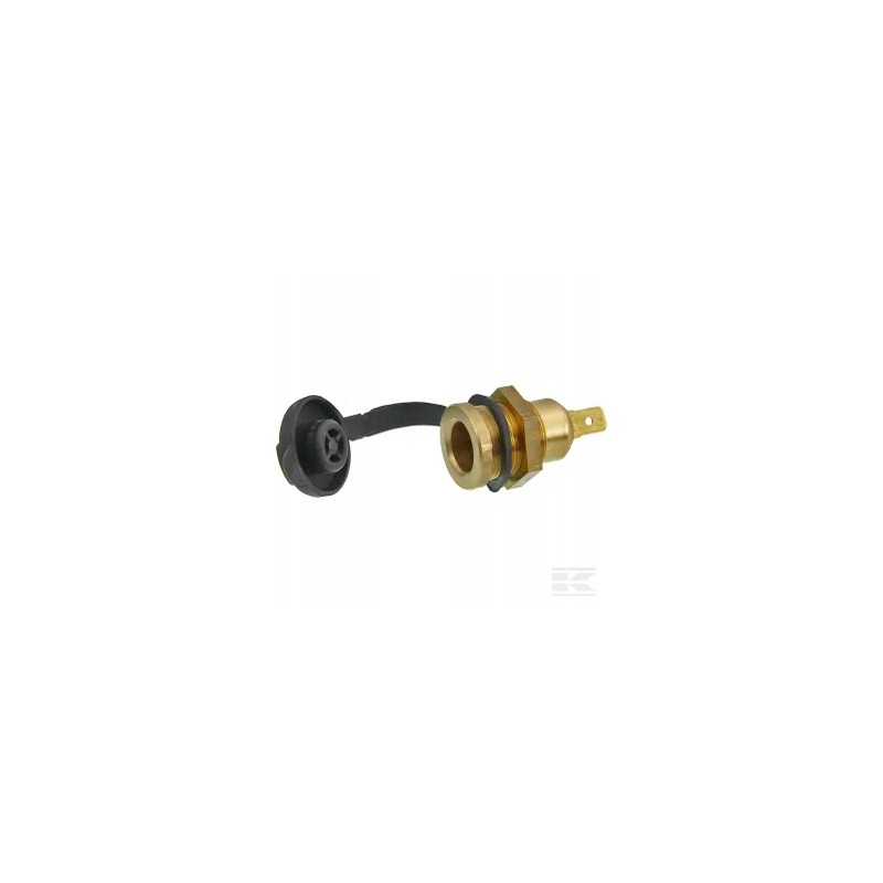 Coaxial socket with cap
