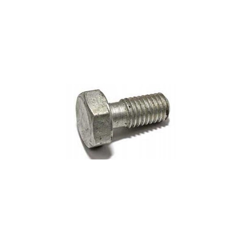 Original mtz fuel filter screw