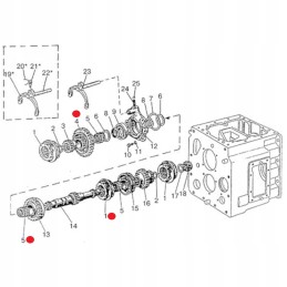 Cage bearing mtz 50x57x36mm 664710e