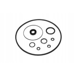 Repair kit for the power steering pump