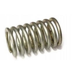 Mtz 11031 injection pump spring