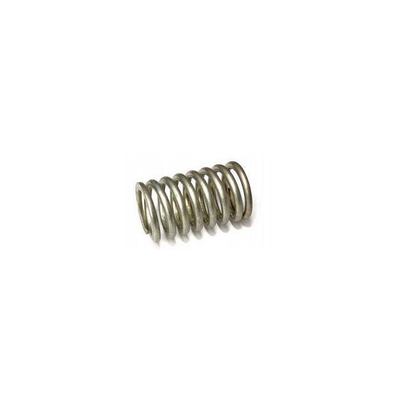 Mtz 11031 injection pump spring