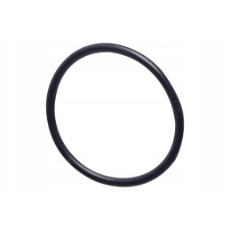 X542203081000n fuel pump seal