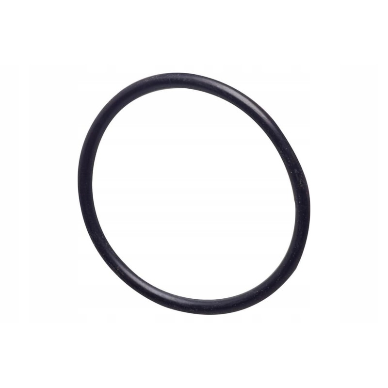 X542203081000n fuel pump seal