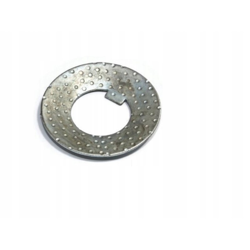 Satellite washer with tooth Wladimirec T 25 737257