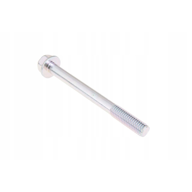 4241689m1 injection pump screw