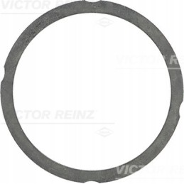 Reinz gasket 61 25475 70