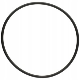 Oring 5450634349606 f824100090580 zf
