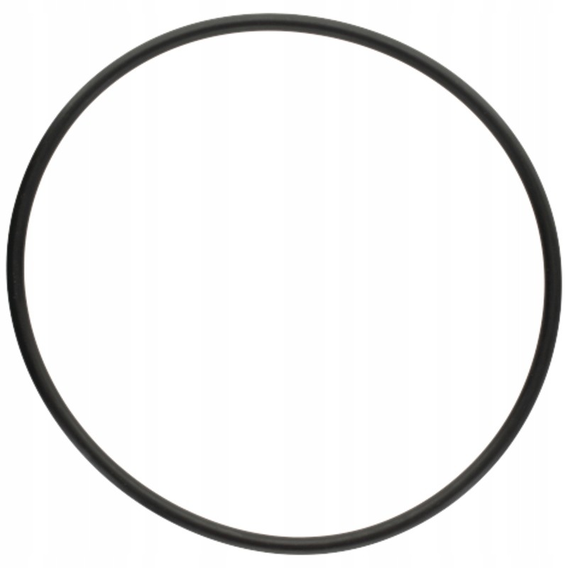 Oring 5450634349606 f824100090580 zf