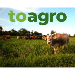 Slow-speed warning triangle, bracket board