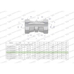 Inch hydraulic connector AA 1 2 BSP Warynski