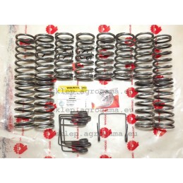 Clutch spring set 18 pcs ursus c330 c360