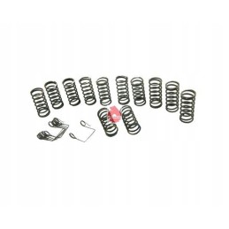 Clutch spring set 18 pcs ursus c330 c360