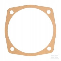 Mtz vaginal gasket