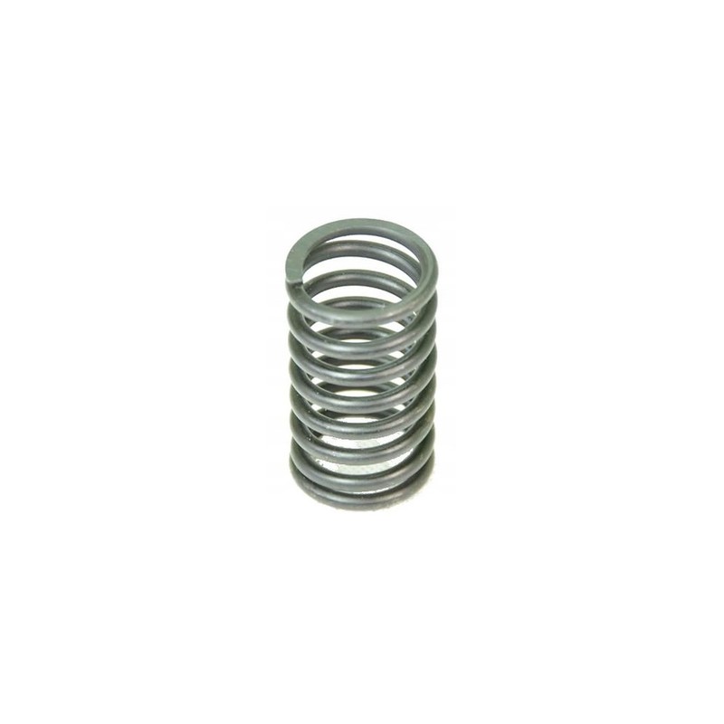 Internal engine head spring mtz 2401007046