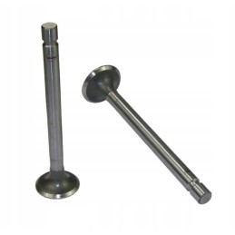 Exhaust valve 50505061 original Ursus C 360