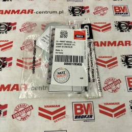 Hatz 2g30 2g40 muffler gasket set 01285800