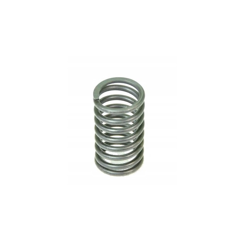 Valve spring external aparts