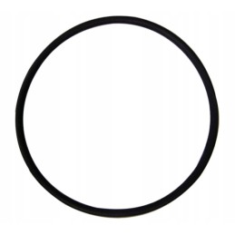 Cylinder liner O-ring 100 5x4 5 for C360 50501170