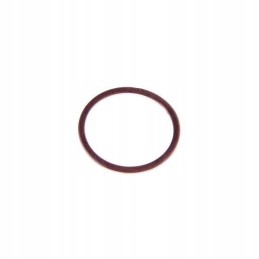 Washer for injector cap 22x26 22x26