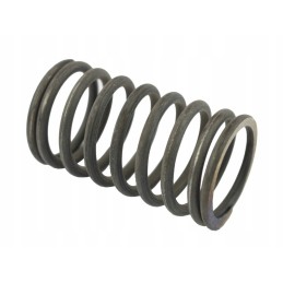 Valve spring external c 330 50 00 109 1 50001