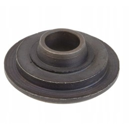 Plate 80005011 domestic product