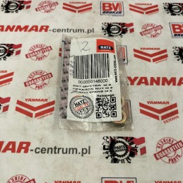 Hatz nut m8 1d90v 1d90w 50148000