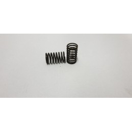 Internal valve spring c 385 80005012
