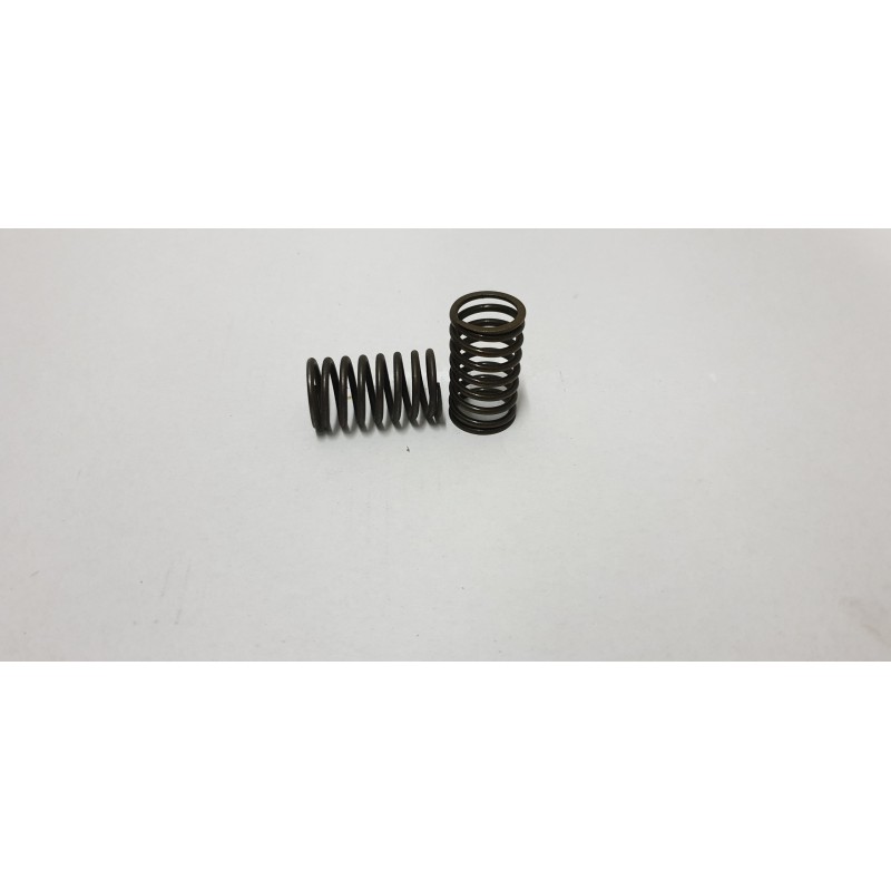 Internal valve spring c 385 80005012