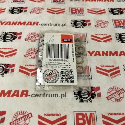 Hatz spring washer 50208500