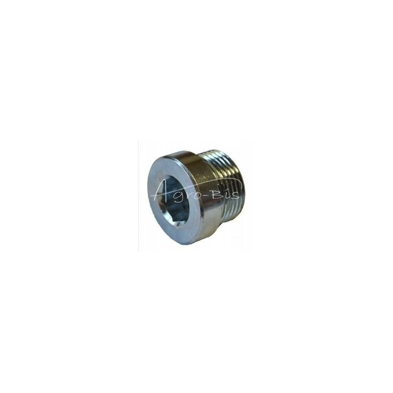 Threaded plug cn 124 b g3 4 hole for a magnet