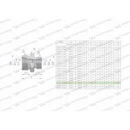 Hydraulic connector m36x2 28l m30x2 22l
